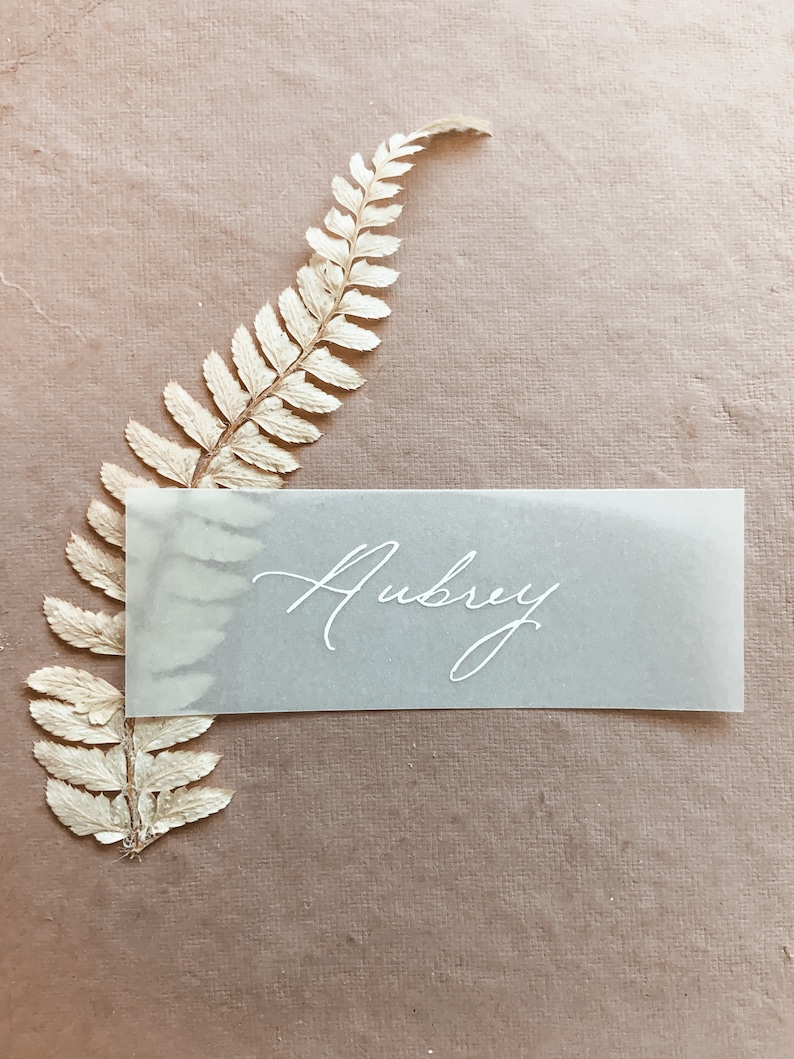 Calligraphy Vellum Wedding Place Cards Etsy