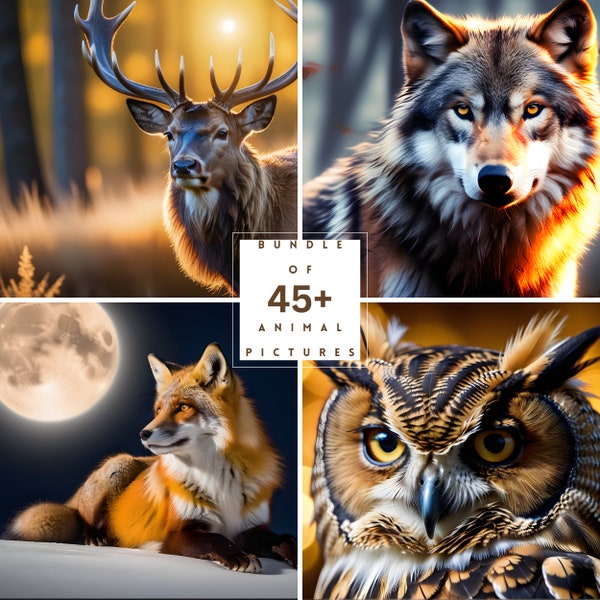 Bundle 45+ Bilder von Waldtieren, Tierbilder, Close-Up, Wandbilder, Druckbar, Life Time Access