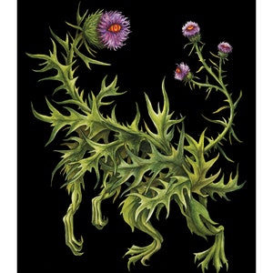 Lámina artística de cardo: Ilustración fantástica y caprichosa, decoración botánica para pared (20 x 25 cm) imagen 4