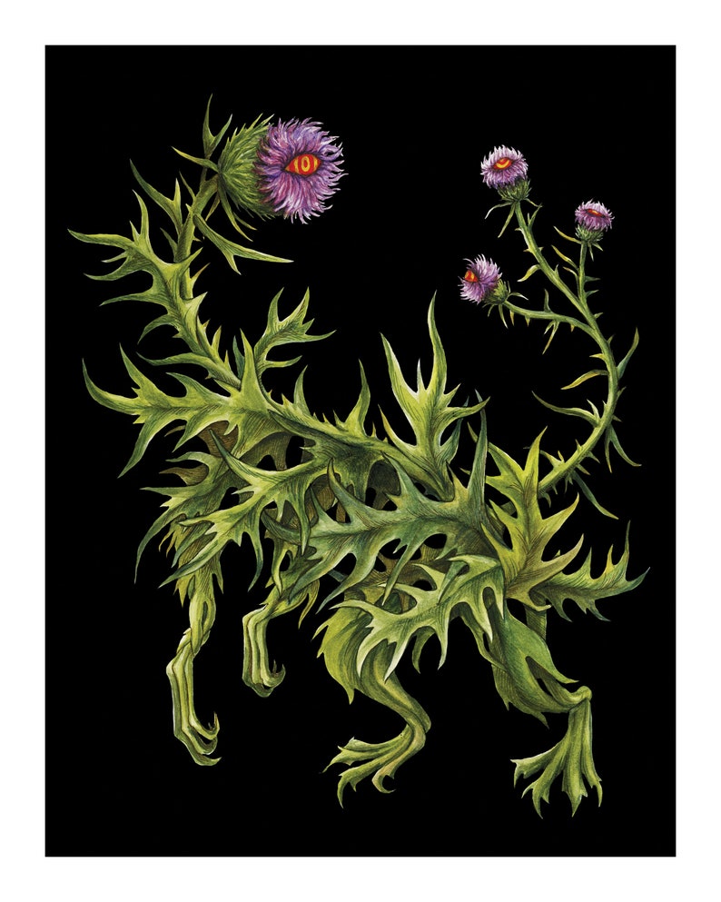 Lámina artística de cardo: Ilustración fantástica y caprichosa, decoración botánica para pared (20 x 25 cm) imagen 4