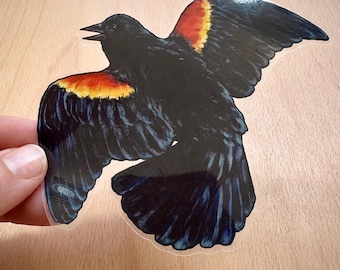 Red-Winged Blackbird Sticker, Clear Sticker, Waterproof Vinyl Sticker, Bumper sticker, Laptop Decal, Dishwasher Safe Water Bottle Sticker