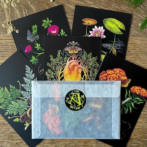 Postcard Set of 5 - Dark Whimsical Nature Art Postcards - Stationary