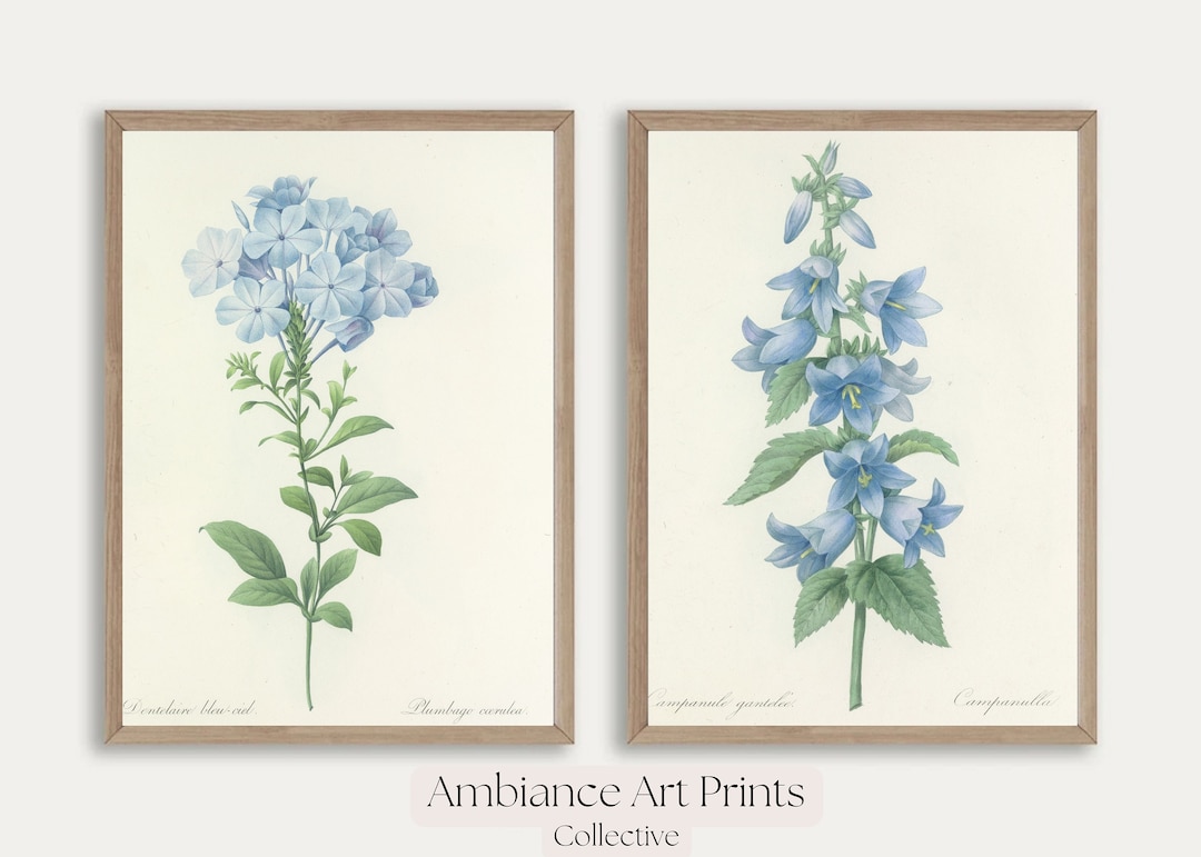 Vintage Botanical Prints Gallery Wall Set of 2, Blue Floral Poster ...