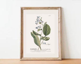 Gedruckt und Versandt | Antikes Kunstwerk | Vintage Print Bauernhaus Blumenkunst Versendung Drucke
