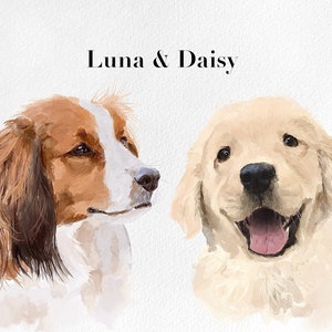 Ritratto di due animali domestici da foto / Dipinto multiplo di animali domestici / Regalo per amante dei cani gatti / Perdita di animali domestici / Dipinto a mano minimalista personalizzato / Acquerello originale