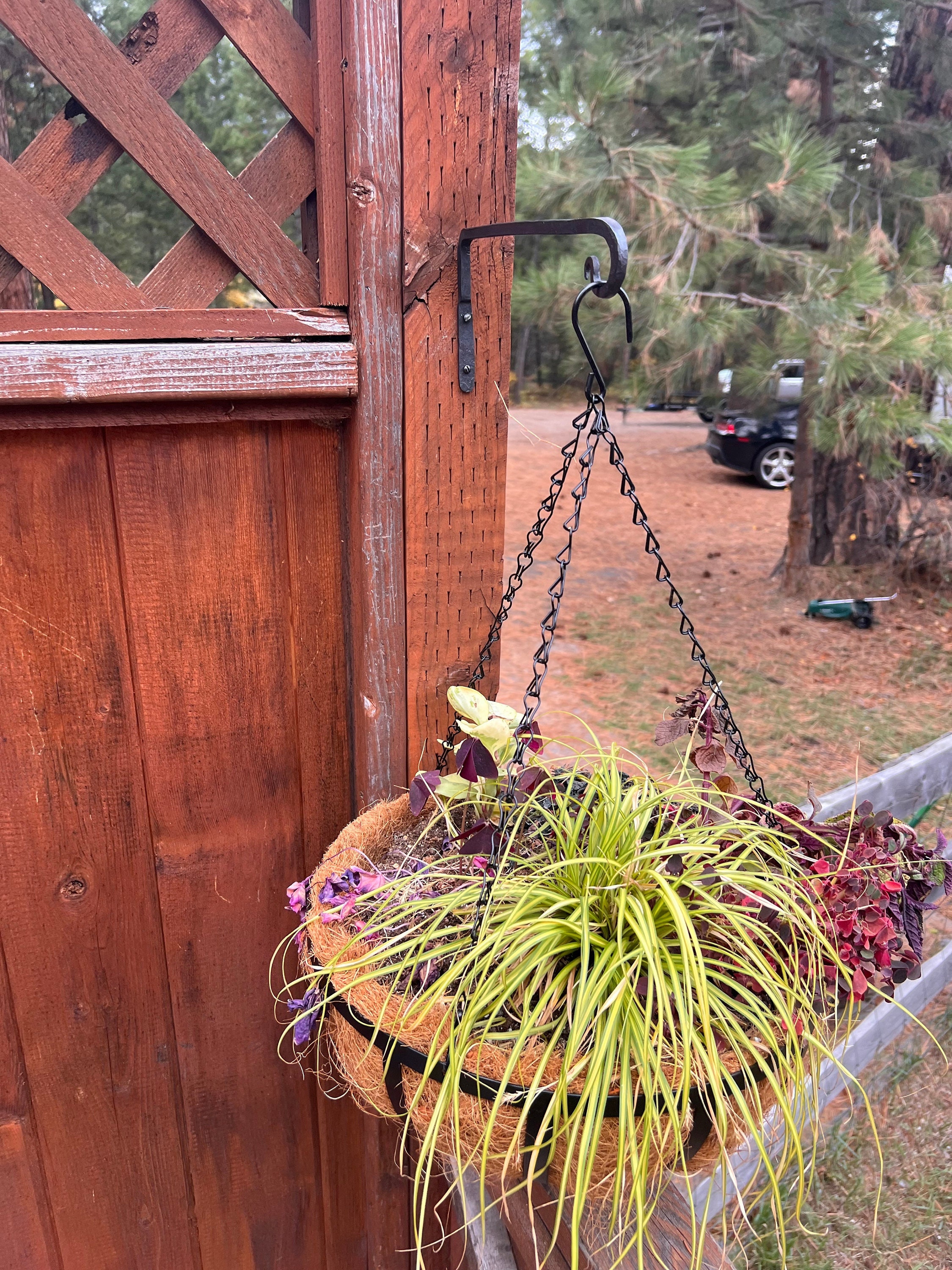 Small Wrought Iron Ball Top Stick Man Topiary Trellis for Climbing Vines