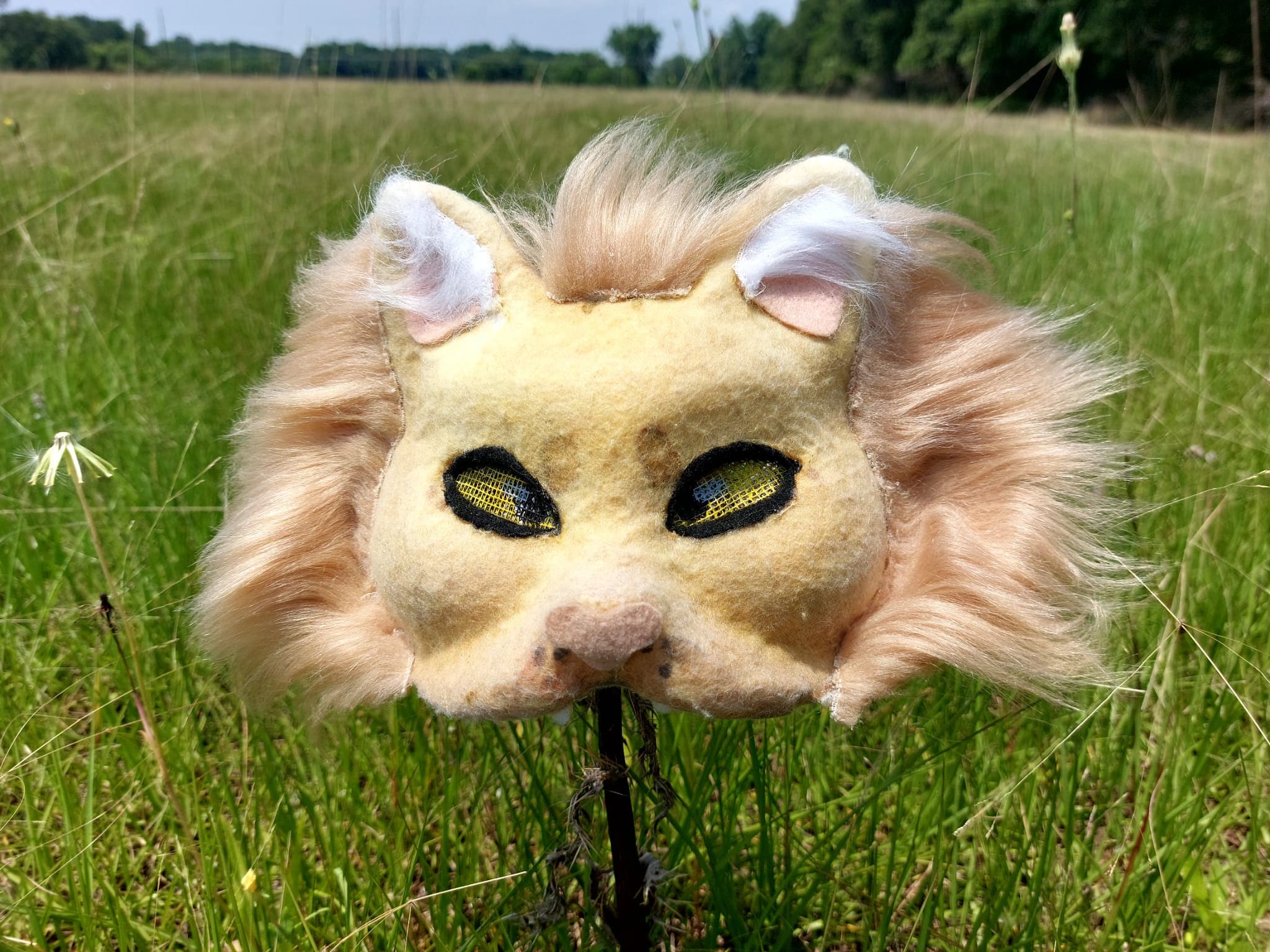 lion therian mask ;3  Cute little animals, Animal masks, Cat mask