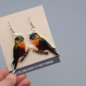 Conure earrings Conure gift Bird earrings parrot earrings Conure  green cheeked conure sun conure gift conure jewelry