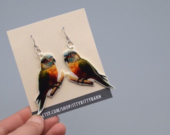 Conure Dangle Earrings: Stainless Steel Bird Lover Gift