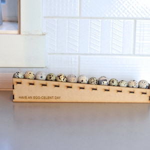 Long Quail Egg holder, Quail gift, Coturnix quail decor, Quail egg display, Quail egg, Egg skelter, Quail egg basket, countertop quail eggs