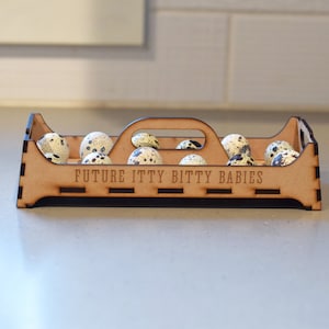 Quail hatching egg carton, Quail gift, Coturnix quail decor, Quail egg display, Quail egg holder, quail decoration, quail eggs, quail farm