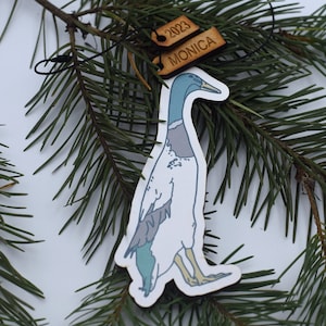 Runner Duck ornament color Duck gift Duck ornament Farm ornament homestead ornament Homestead gift farm gift Muscovy duck duck breeds ducks