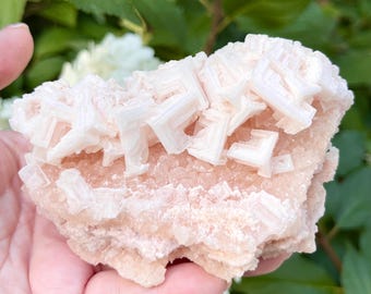 Pretty Pink Halite Crystal Mineral, Searles Lake, California