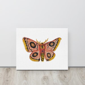 Roseate Emporer Moth