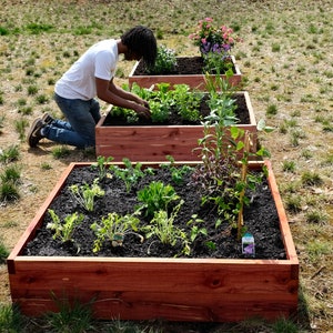 Premium Raised Garden Bed 1.25" Thickness | Eastern Red Cedar Wooden Planter for Outdoor Plants | Large 48x48x11 Inch | Made in Virginia