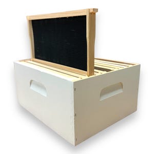 May include: A white wooden beehive box with a wooden frame and black plastic foundation. The frame is partially pulled out of the box.