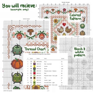 Pu&ograve; includere: Uno schema di punto croce per un sampler a tema Stardew Valley. Lo schema include una zucca, una gallina, un fungo e un cuore. Lo schema &egrave; disponibile in versione a colori e in bianco e nero. Lo schema &egrave; etichettato "Thread Chart" e include un elenco di colori di filo DMC e i loro nomi corrispondenti.