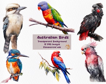 Australian Birds Clipart PNG Set | 12 Watercolor Native Bird PNGs | Transparent Background | Digital Download