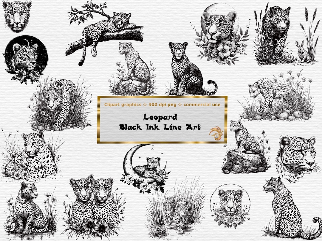 Leopard Line Art Clipart: Black Ink Designs (digital Download) - Etsy