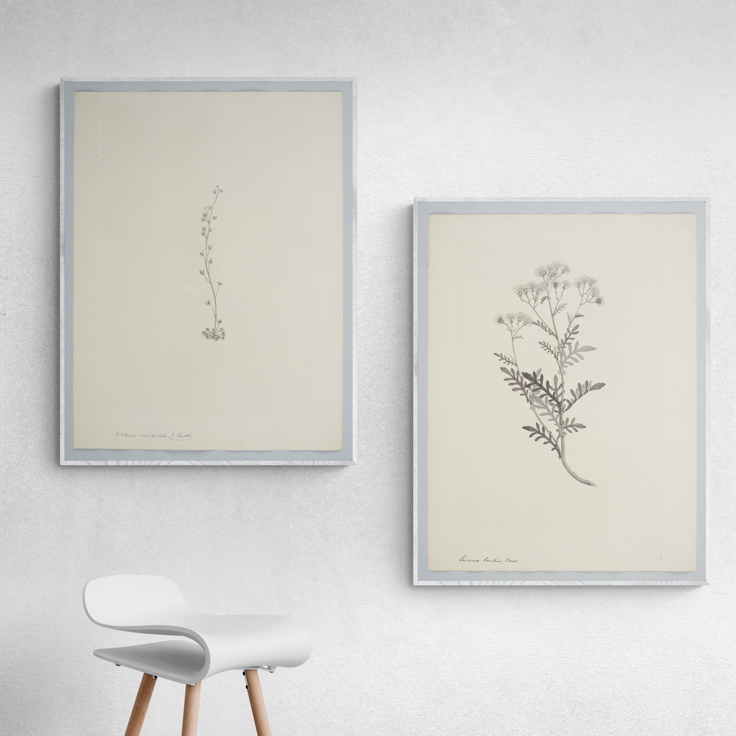 Printable Vintage European Wall Art Set Digital Prints Etsy