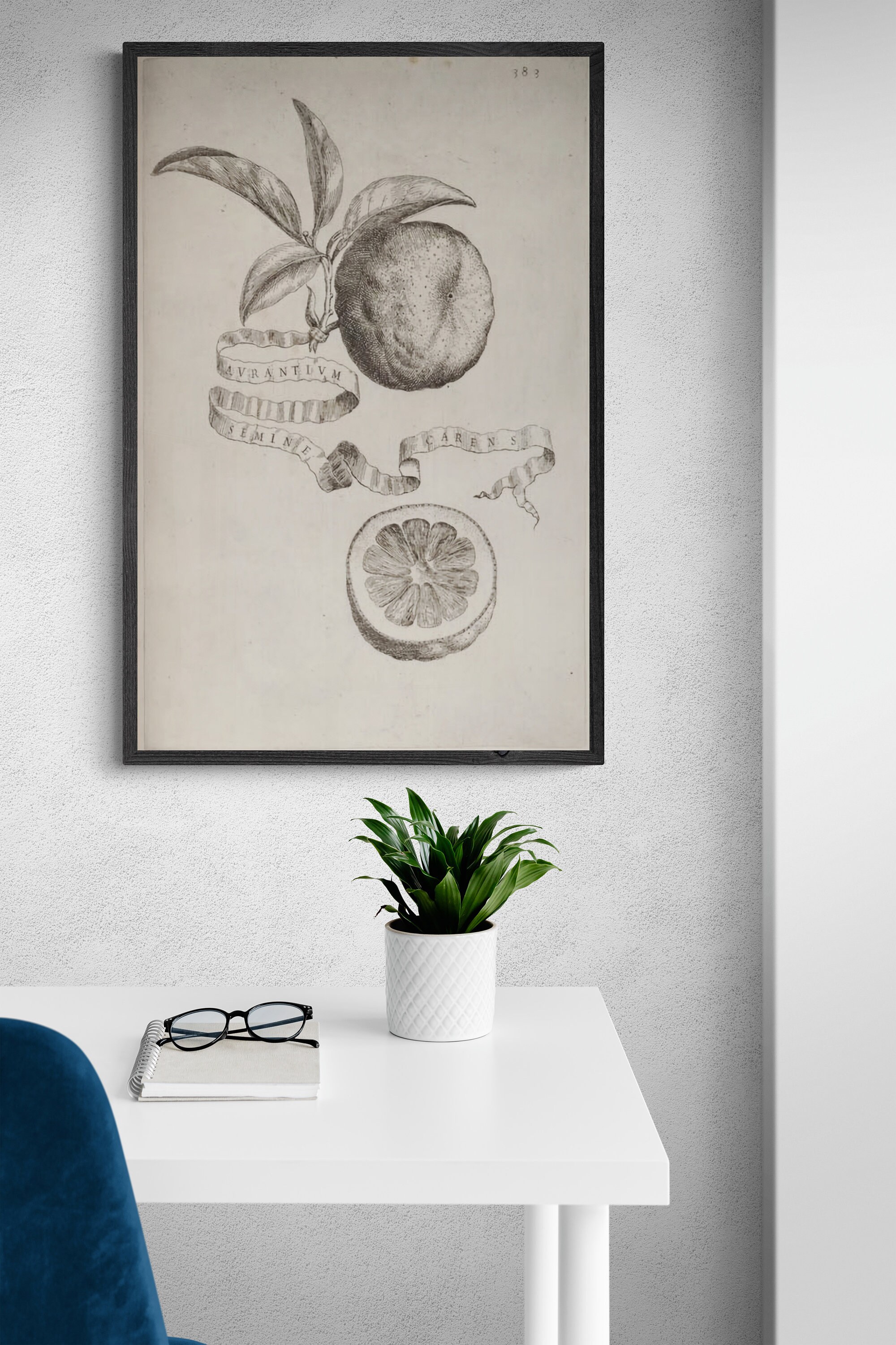 Printable Vintage European Wall Art Set Digital Prints Etsy