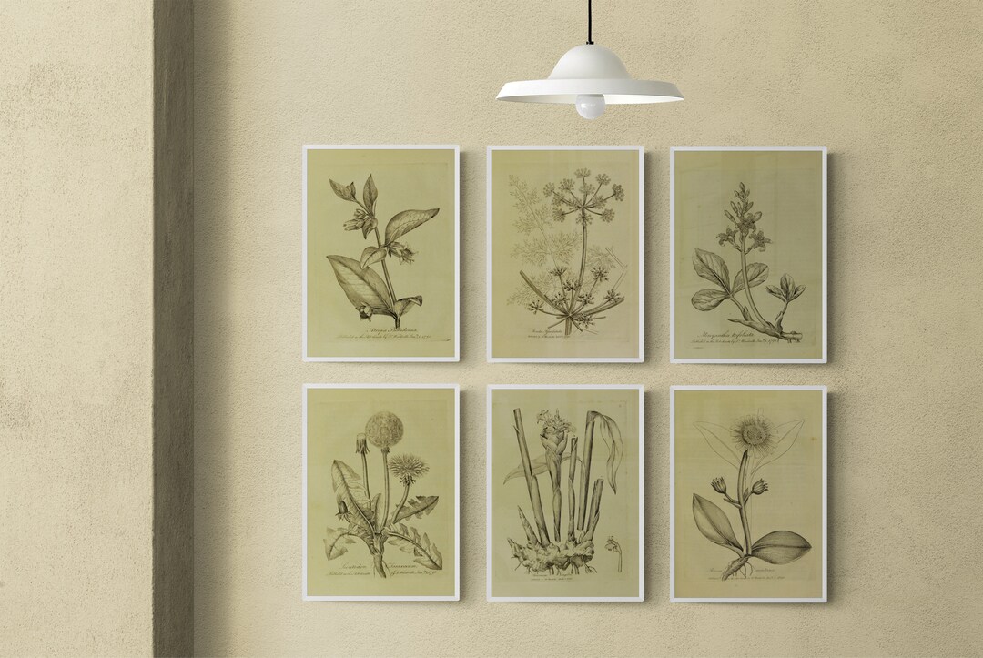 Printable Vintage European Wall Art Set Digital Prints Botanical