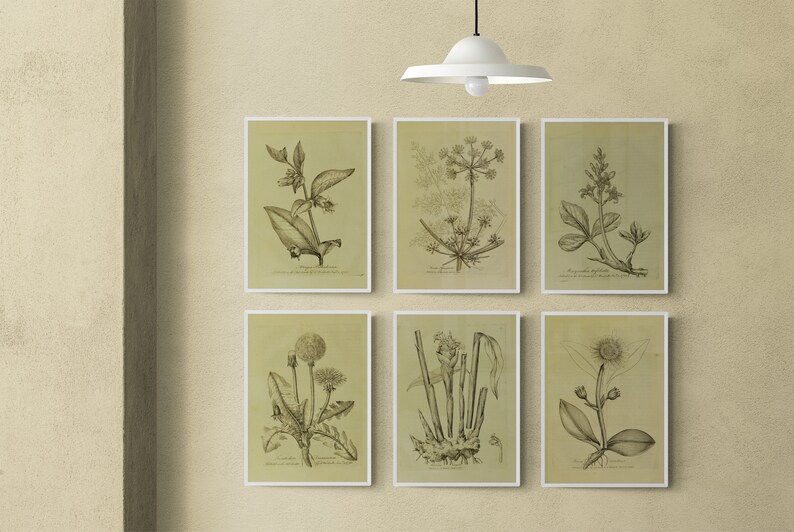 Printable Vintage European Wall Art Set Digital Prints Botanical