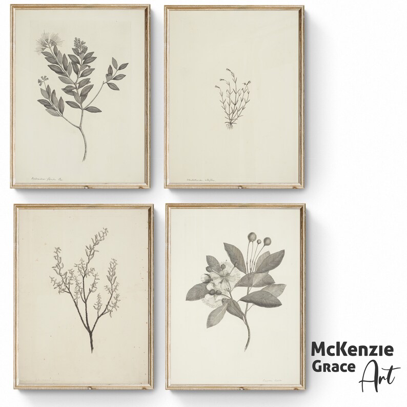 Printable Vintage European Wall Art Set Digital Prints Botanical