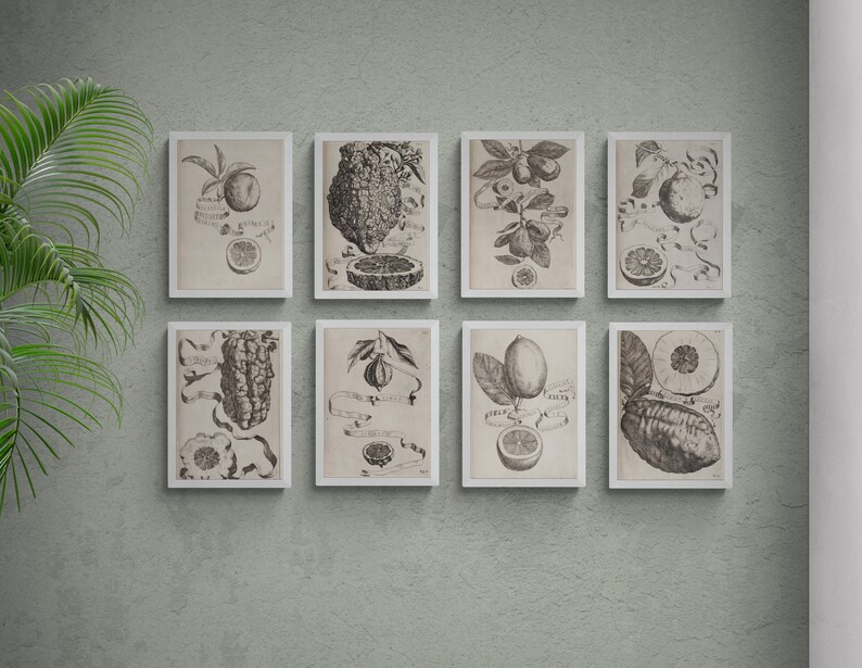 Printable Vintage European Wall Art Set Digital Prints Etsy