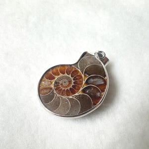 Puede incluir: Un colgante con un f&oacute;sil de amonita pulido, que muestra un patr&oacute;n en espiral en tonos marrones y beige. El f&oacute;sil est&aacute; encerrado en un marco de metal plateado, con un lazo para una cadena. Fondo blanco.