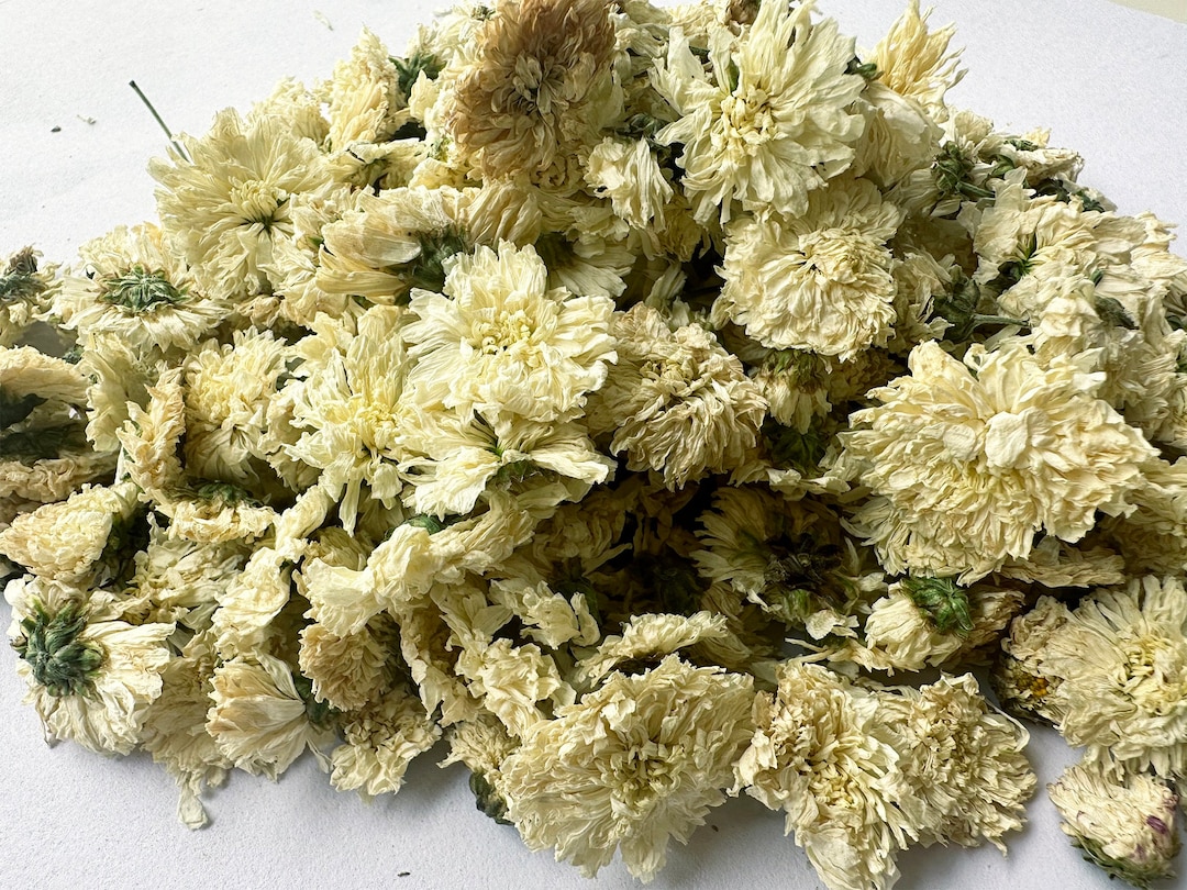 Dried White Chrysanthemum Bulk. 15 Oz. Fragrant Small Petal Etsy