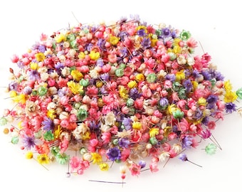 150-300 pequeñas flores multicolores secas para resina epoxi UV DIY (teñidas). Fabricación de velas, jabón, relleno para manualidades.