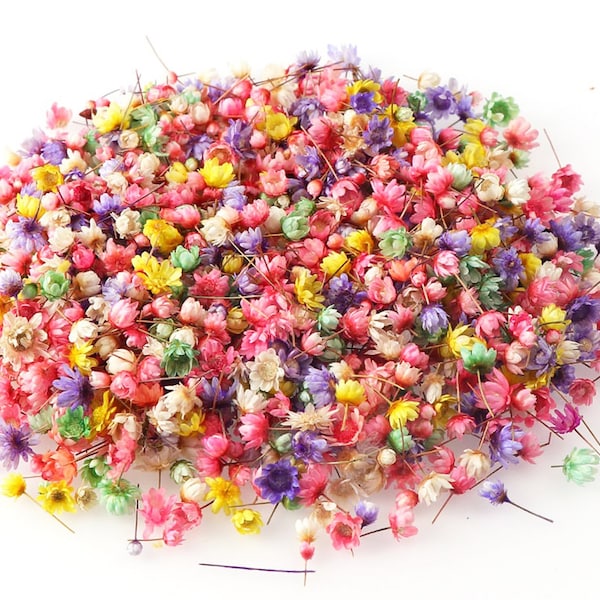 Dried Flowers Resin Etsy
