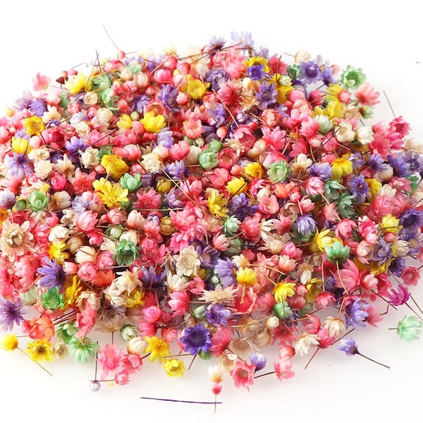 150-300 Tiny Multi-Colo Dried Flowers for DIY UV Epoxy Resinr (Dyed) .Candle Making, Soap, Crafting Filler