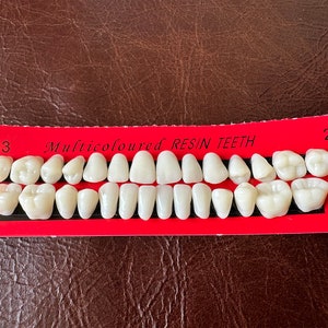 Resin Full Set Realistic Human Teeth.Wholesale Resin HumanTeeth,Plastic Teeth.Oddity bone,altar display,Weird Craft,fake teeth,creepy teeth