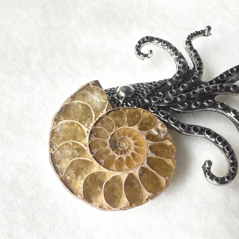 Puede incluir: Imagen detallada de un f&oacute;sil de amonita con un dise&ntilde;o de pulpo plateado. La concha muestra un patr&oacute;n en espiral en tonos marrones y beige. El pulpo tiene m&uacute;ltiples tent&aacute;culos.