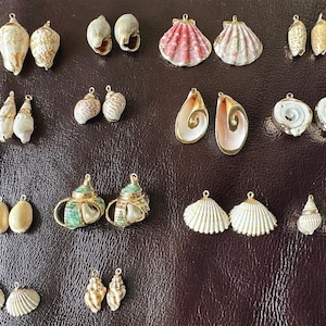 May include: An assortment of seashell charms in various colours and designs, including pink, white, green, and brown. The charms are made of metal and have a shiny finish. They are perfect for jewellery making, scrapbooking, and other craft projects.