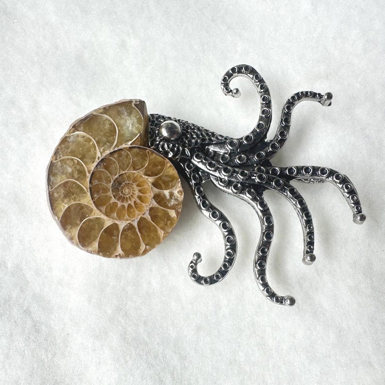Puede incluir: Un broche &uacute;nico con tem&aacute;tica de amonita y pulpo. El broche presenta un f&oacute;sil de amonita pulido en espiral, en tonos marrones y beige, combinado con un dise&ntilde;o de pulpo plateado detallado. El pulpo tiene m&uacute;ltiples tent&aacute;culos rizados.