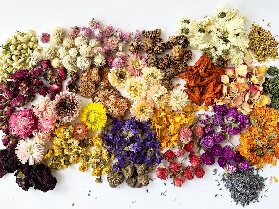 Wholesale Bulk Dried Flowers for Resin. 40 Variety for Choose.suitable
