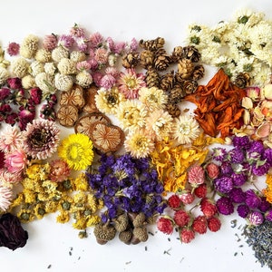 Dried Tiny Flowers for Resin 50ml Box, Dried Bulk Mini Flowers, Small  Assorted Flowers for Crafts 