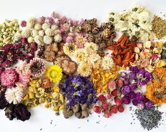 Fleurs séchées en gros en vrac pour résine. 40 variétés au choix. Savons, bougies, aromathérapie adaptés. 10-20 g/paquet. Petites fleurs minuscules.