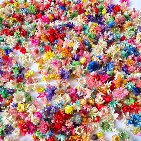 Fleurs Séchées Pour Travaux Manuelles Bricolage Fabrication Bougies