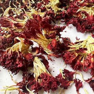 Dried Carnation Bulk. 1-5 oz. Fragrant Small Petal Bulk Dried .Dried flowers, Dried herbs