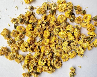 300 pezzi fiori secchi brasiliani bianchi piccoli fiori stellati secchi mini bouquet di fiori secchi margherite mini camomilla per composizione floreale matrimonio 300 pezzi Star Dried Flower