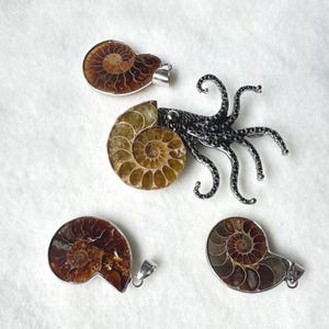 Puede incluir: Cuatro colgantes y un broche se muestran sobre una superficie blanca. Los colgantes presentan f&oacute;siles de amonitas pulidos en tonos marrones y beige, engastados en metal plateado. Tambi&eacute;n hay un broche de pulpo plateado detallado.