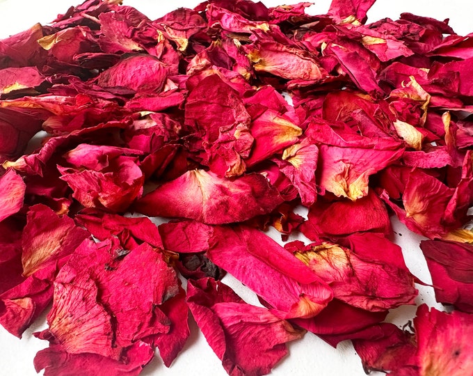 Wholesale Bulk Dried Flowers for Resin. 40 Variety for Choose.suitable ...