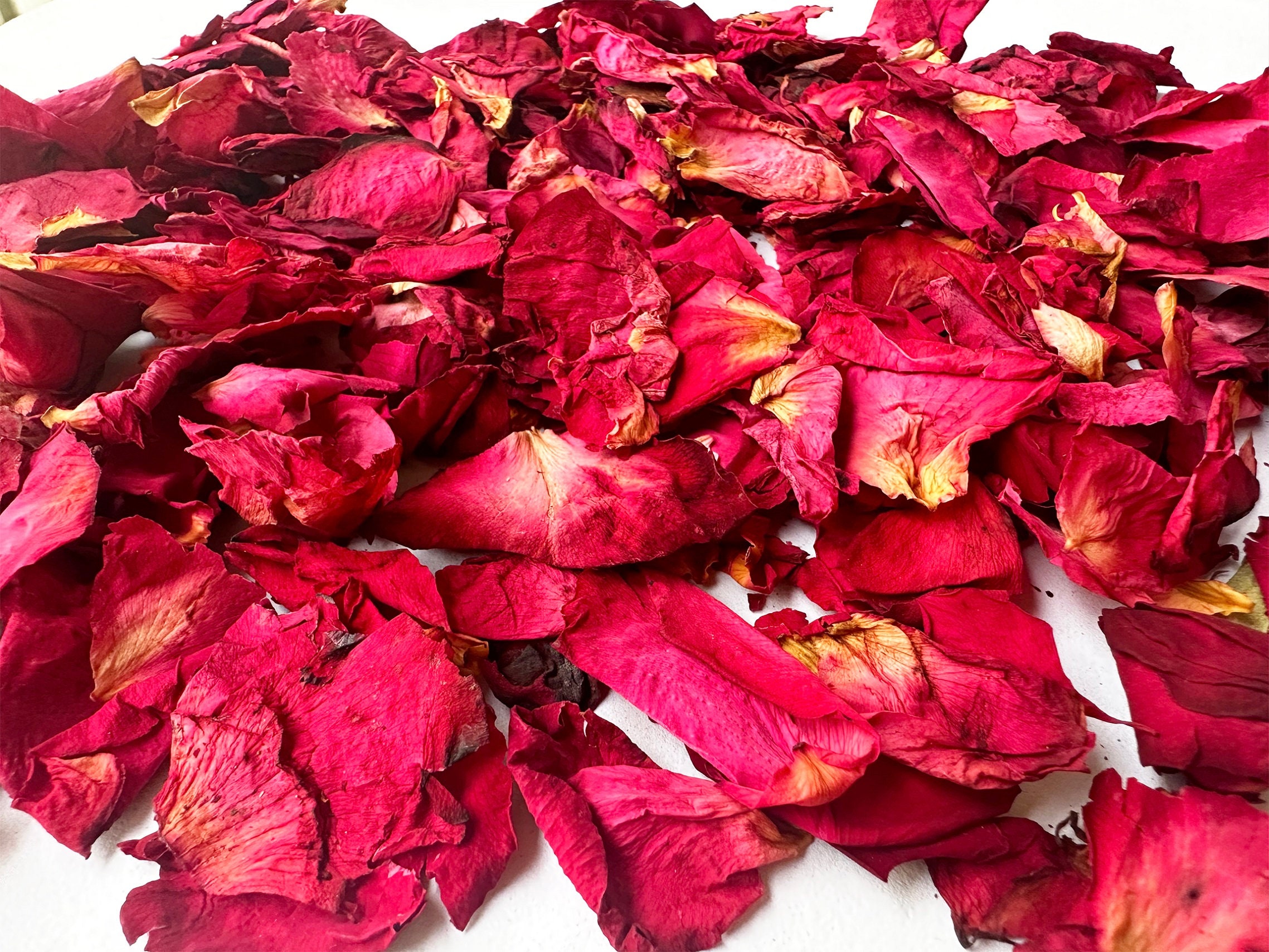 Safe Herbs For Rabbits  Dried Rose Petals – Bunadventure Series