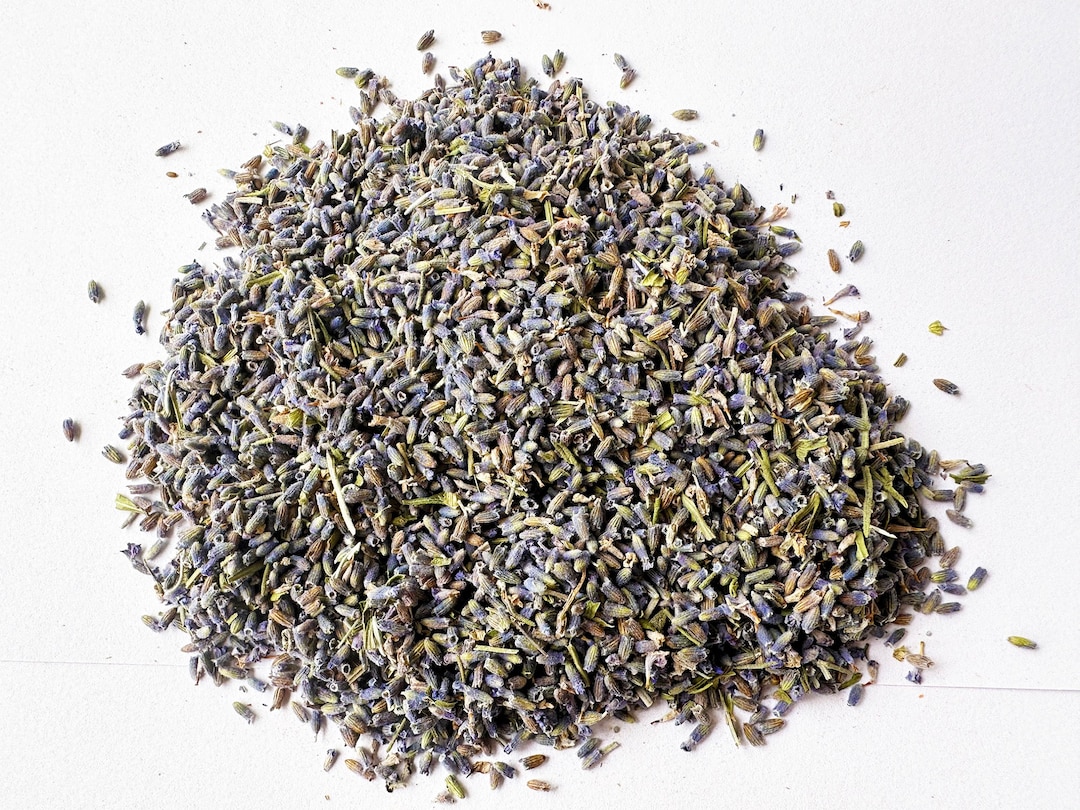 Dried Lavender Flower Bulk.15 Oz. Organic Buds Dried Deep Etsy