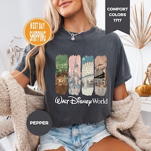 May include: Dark gray t-shirt with a colorful graphic of Walt Disney World park icons. The shirt features the text "Walt Disney World" in white. The shirt also has the text "Comfort Colors 1717" and "Pepper" on the shirt.
