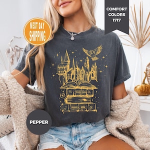 May include: Dark gray t-shirt with a gold illustration of a castle, books, and an owl. The text "MAGICAL BOOK" is visible. The shirt has the text "COMFORT COLORS 1717" and "PEPPER" on the image.